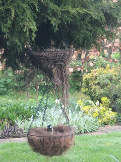 Nesting materials hanging basket - dog hair, straw and hay